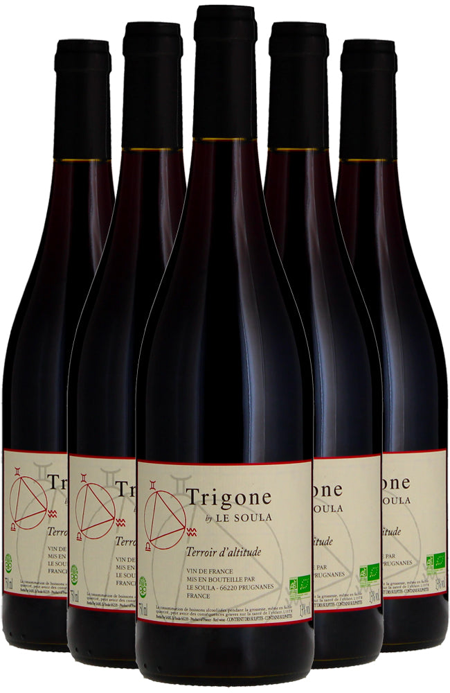 Le Soula Trigone Rouge No. XXI 6 Bottle Case