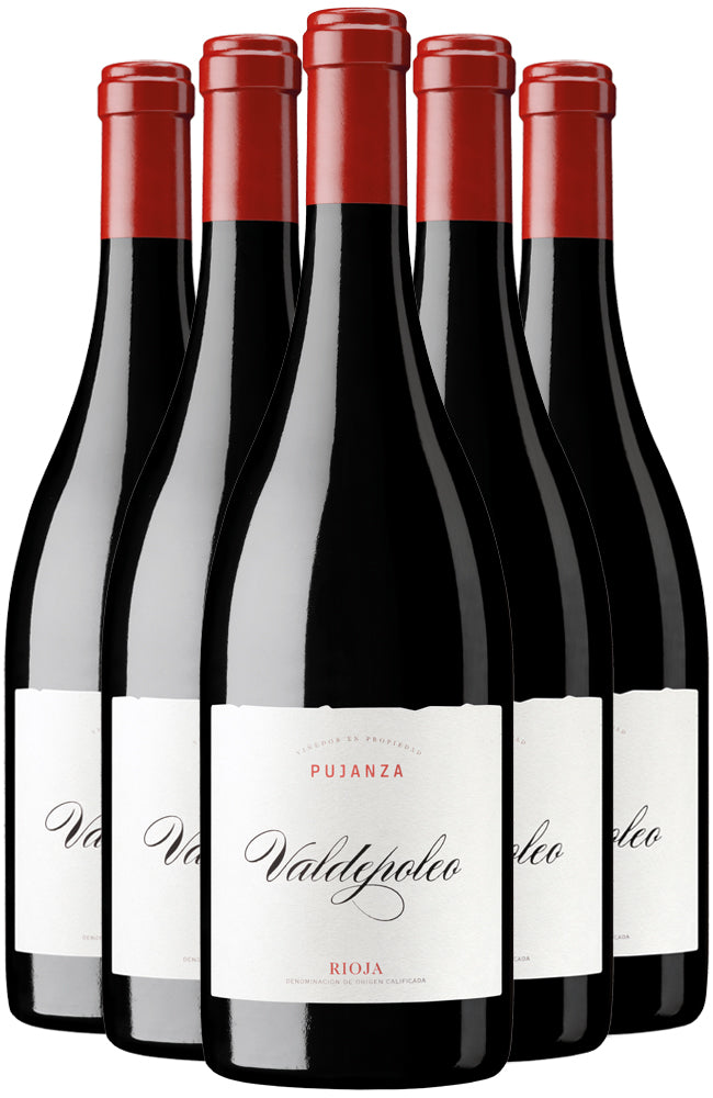 Bodegas Pujanza Valdepoleo Rioja 6 Bottle Case