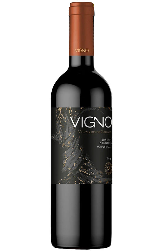 Morandé Adventure VIGNO Carignan 2020